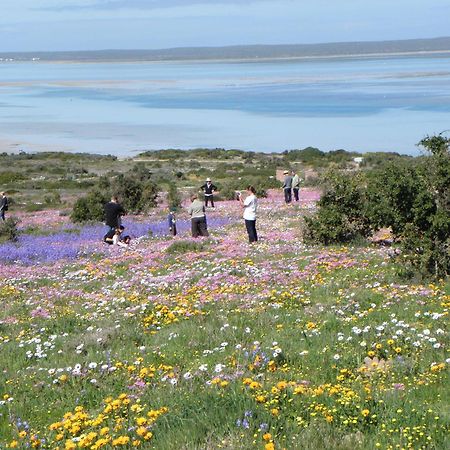 Le Mahi Guest House Langebaan Eksteriør bilde